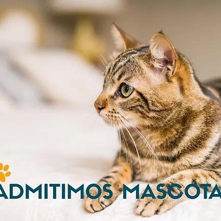 Pedras Negras Grove 3000 * O Grove